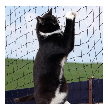 Kattn�t svart nylon 40mm