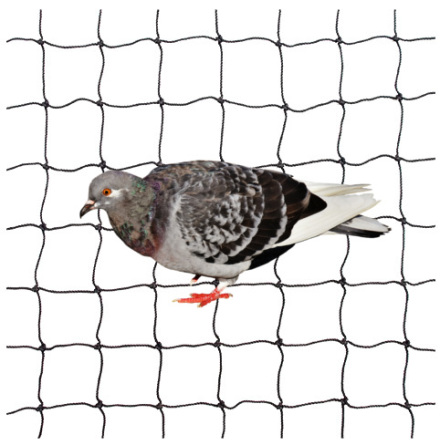 F�gelskyddsn�t svart nylon 40mm