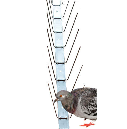 F�gelpiggar PS02, 10-pack