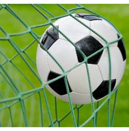 Fotbollsn�t 6m x 2,2m 9 manna gr�n