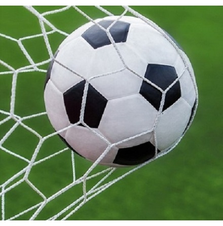 Fotbollsn�t 3 m x 2 m 5-manna Vit Spanien