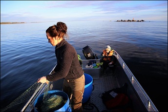Fiska med fiskn&auml;t
